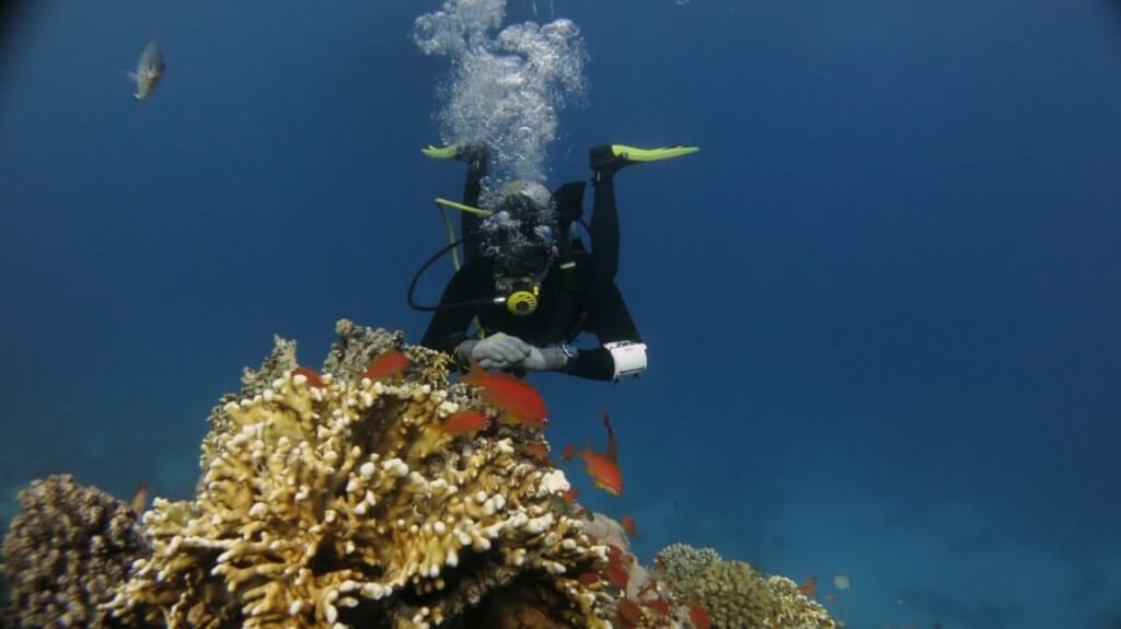 Nurkowanie Scuba Diving