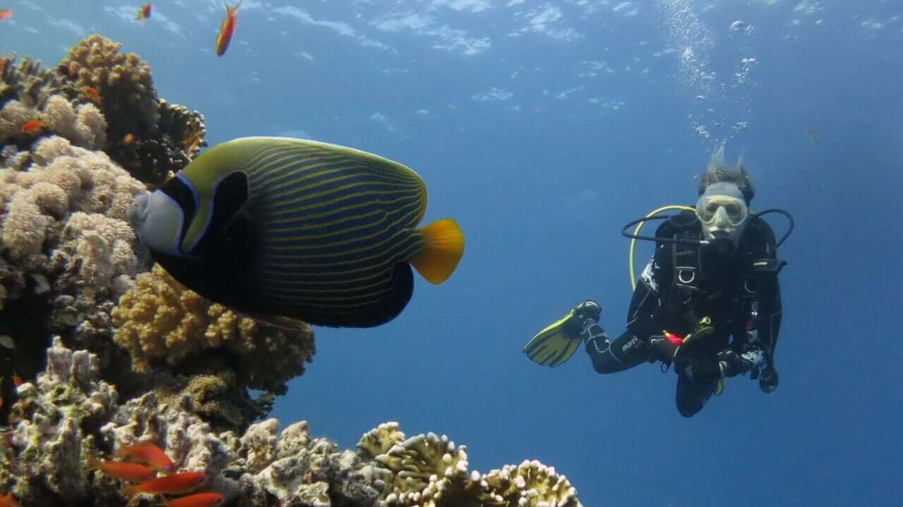 Poznawanie podwodnych światów